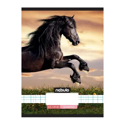 Füzet kockás NEBULO A/4 32 lapos 87-32 L-Design 12 darabos