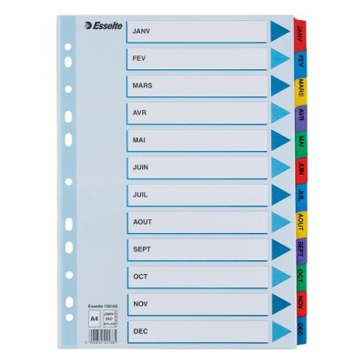 Regiszter ESSELTE Mylar A/4 karton Jan-Dec