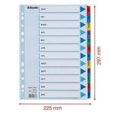 Regiszter ESSELTE Mylar A/4 karton Jan-Dec